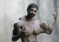 olie i armene