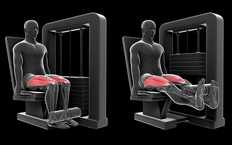 aktive ældre - leg extension