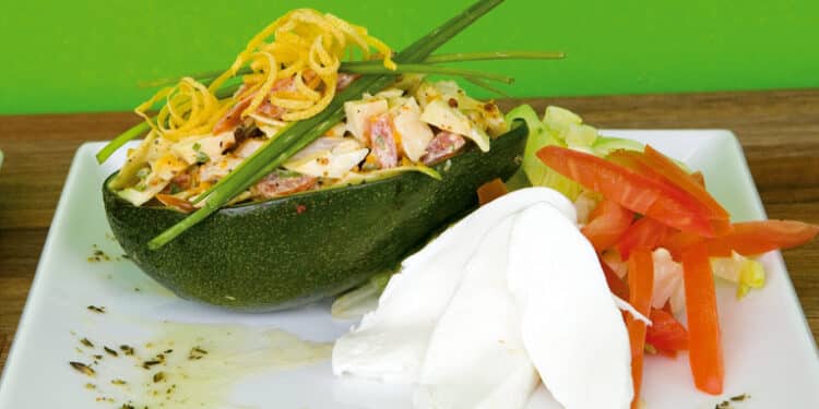 avocadosalat med kylling