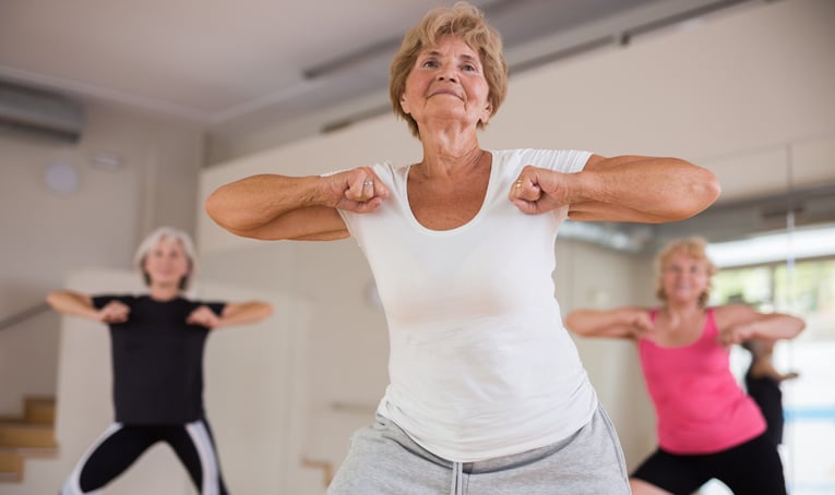 senior motionsprogrammer - zumba