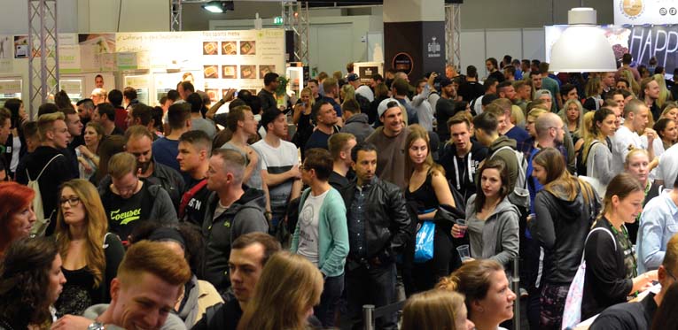 Kunstig intelligens - fibo-1
