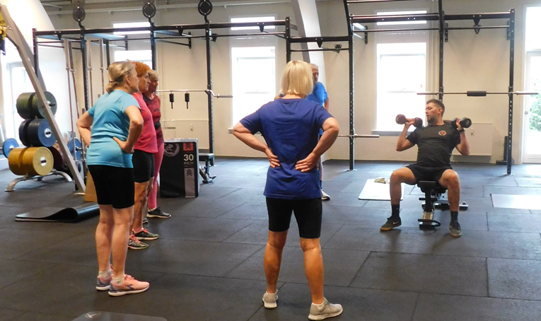 Muving -ældre med fysioterapeut