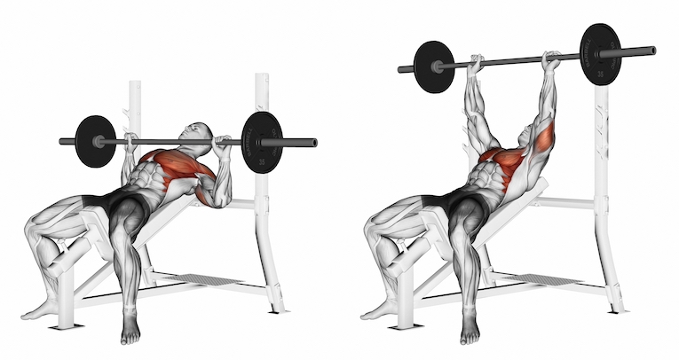 Brysttræning +50 -Incline-press