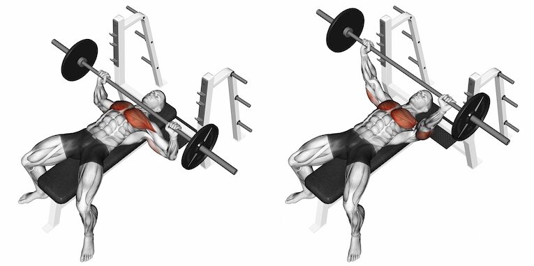 brysttræning +50 - Bench Press